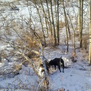 Meet your Posher, Chrissie